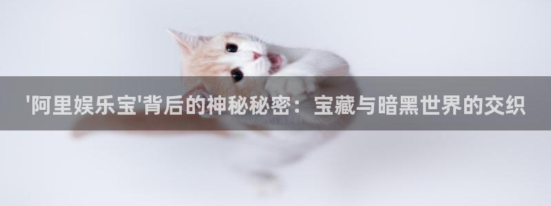 领航国际是正规公司吗
