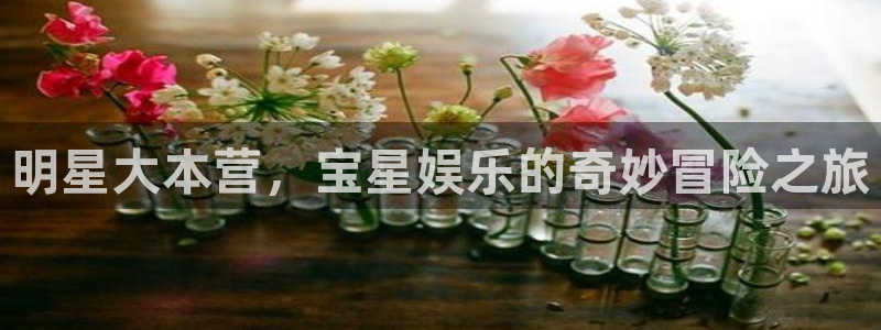 领航国际是正规公司吗